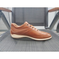 Tod's Herrenschuhe Gr.43